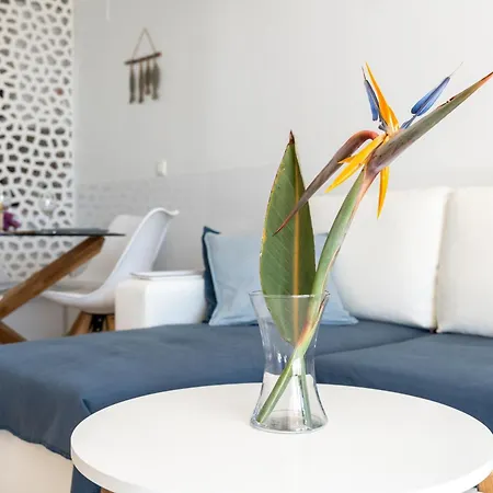 Feriehus Sea Front House Macarena D *